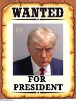 wanted-for-president3525.jpg