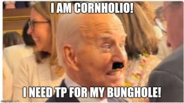 bidenhitlerstache.jpg