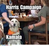 harris-campaign.jpg