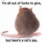 rats ass.jpg