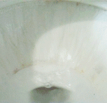 toilet-flushing-gif.gif