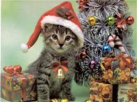 santa-cat-christmas-wallpaper.jpg