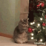 kitty-claws-christmas-tree-cat-playing-with-christmas-tree.gif