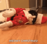 merry-christmas-seasons-greetings.gif