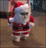 santa-holiday.gif