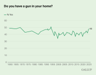 Do-you-have-a-gun-in-your-home-.png