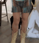 steel-cowgirl-cowgirl (2).gif