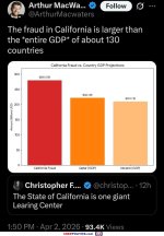the-fraud.jpg