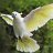 Birdz